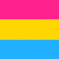 Pansexual Flag